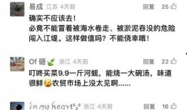 爆料魏莹视频大全下载安装,下载安装攻略全解析